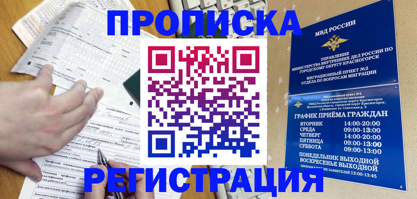 купить прописку в Купино